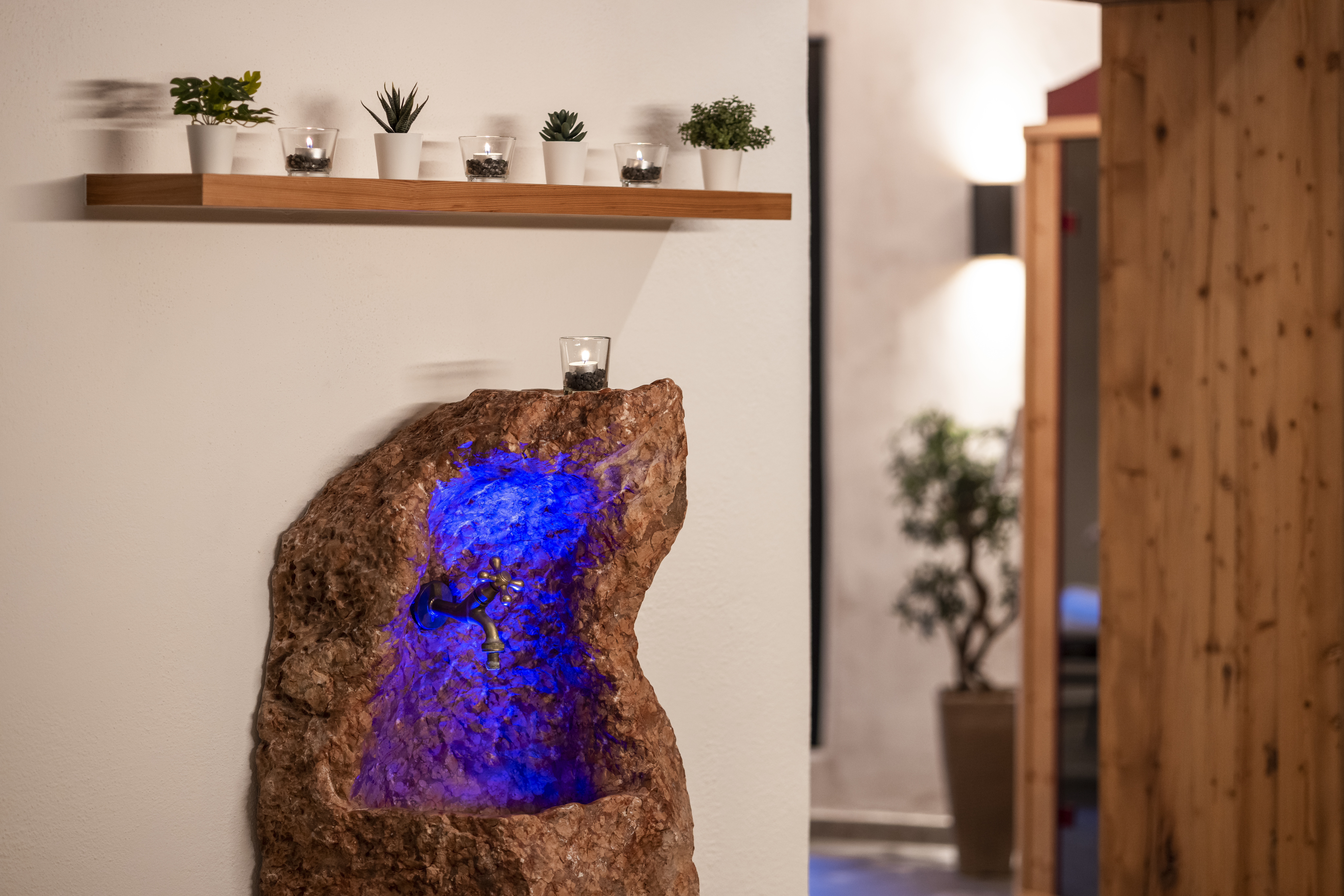 Wellnesshotel: Parkhotel Seefeld