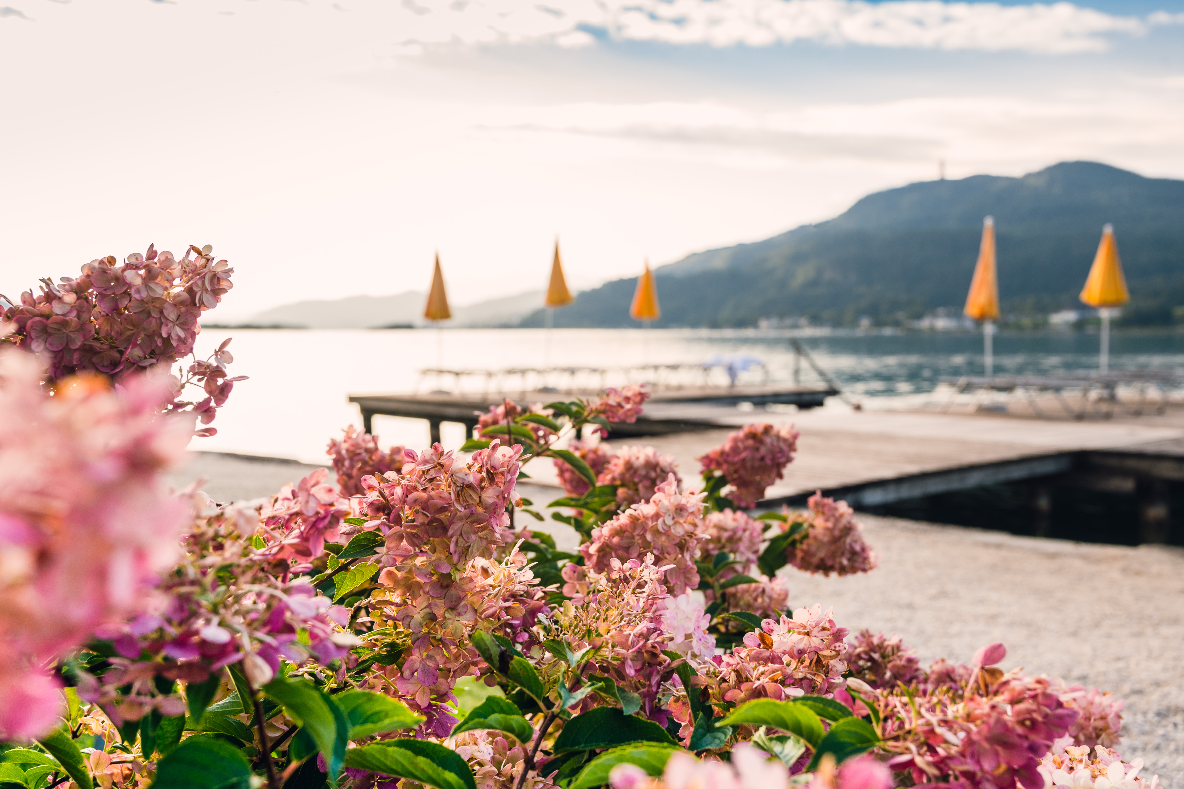 Wellnesshotel: Werzers Seehotel Wallerwirt