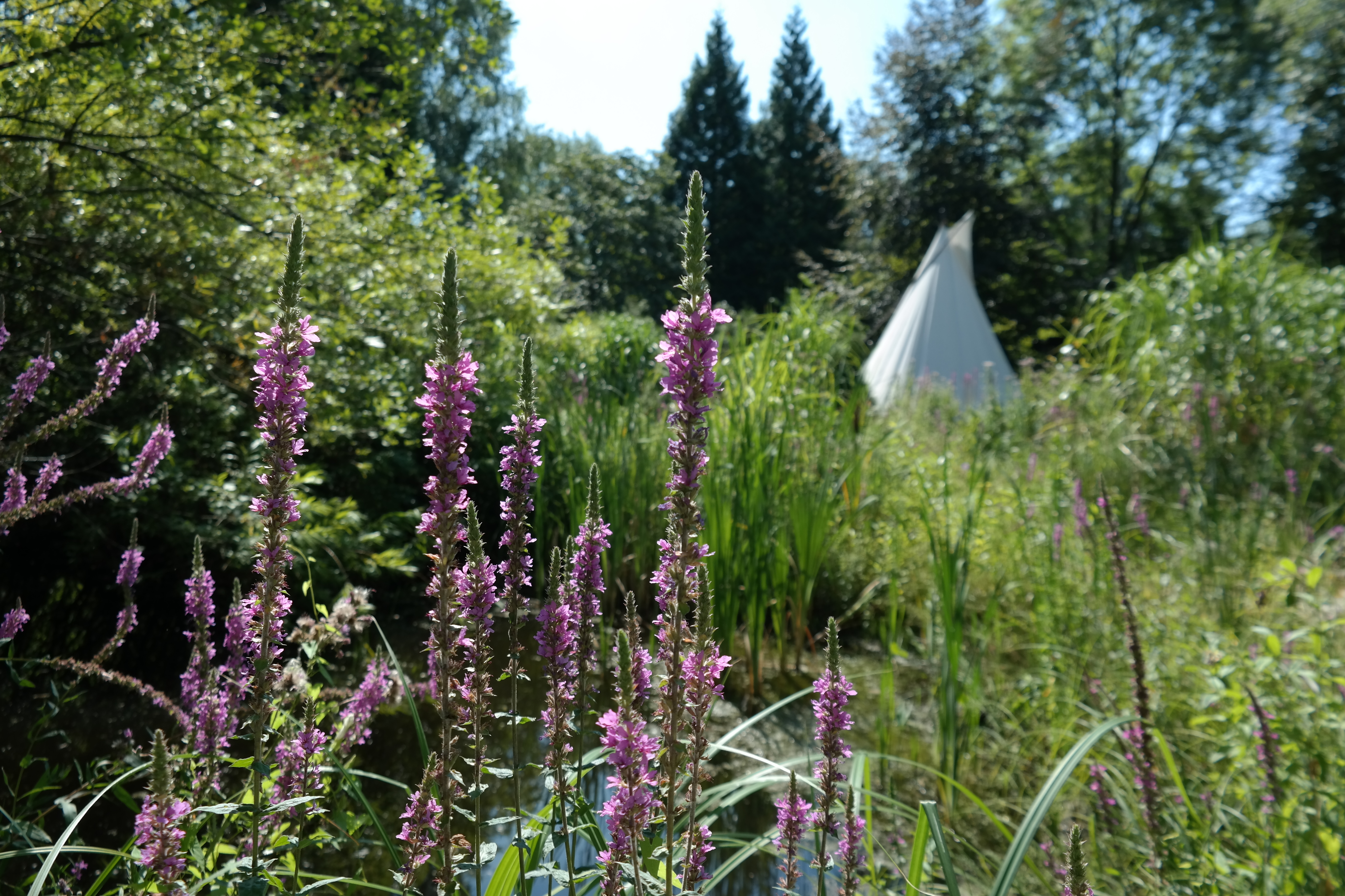 Wellnesshotel: Bio-Hotel Land Gut Höhne - Hotel | Umgebung