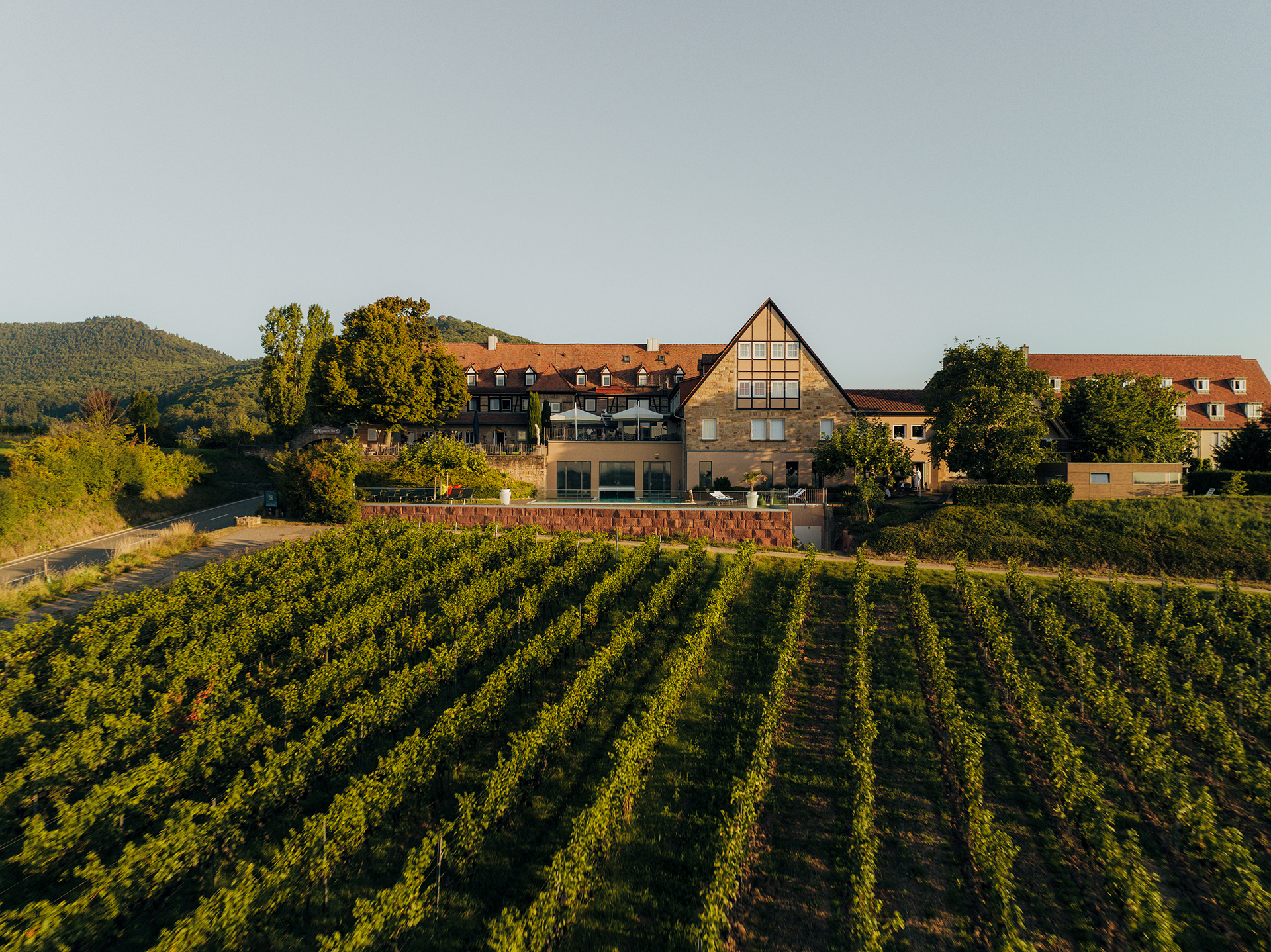 Wellnesshotel: Blick auf den Leinsweiler Hof - Leinsweiler Hof