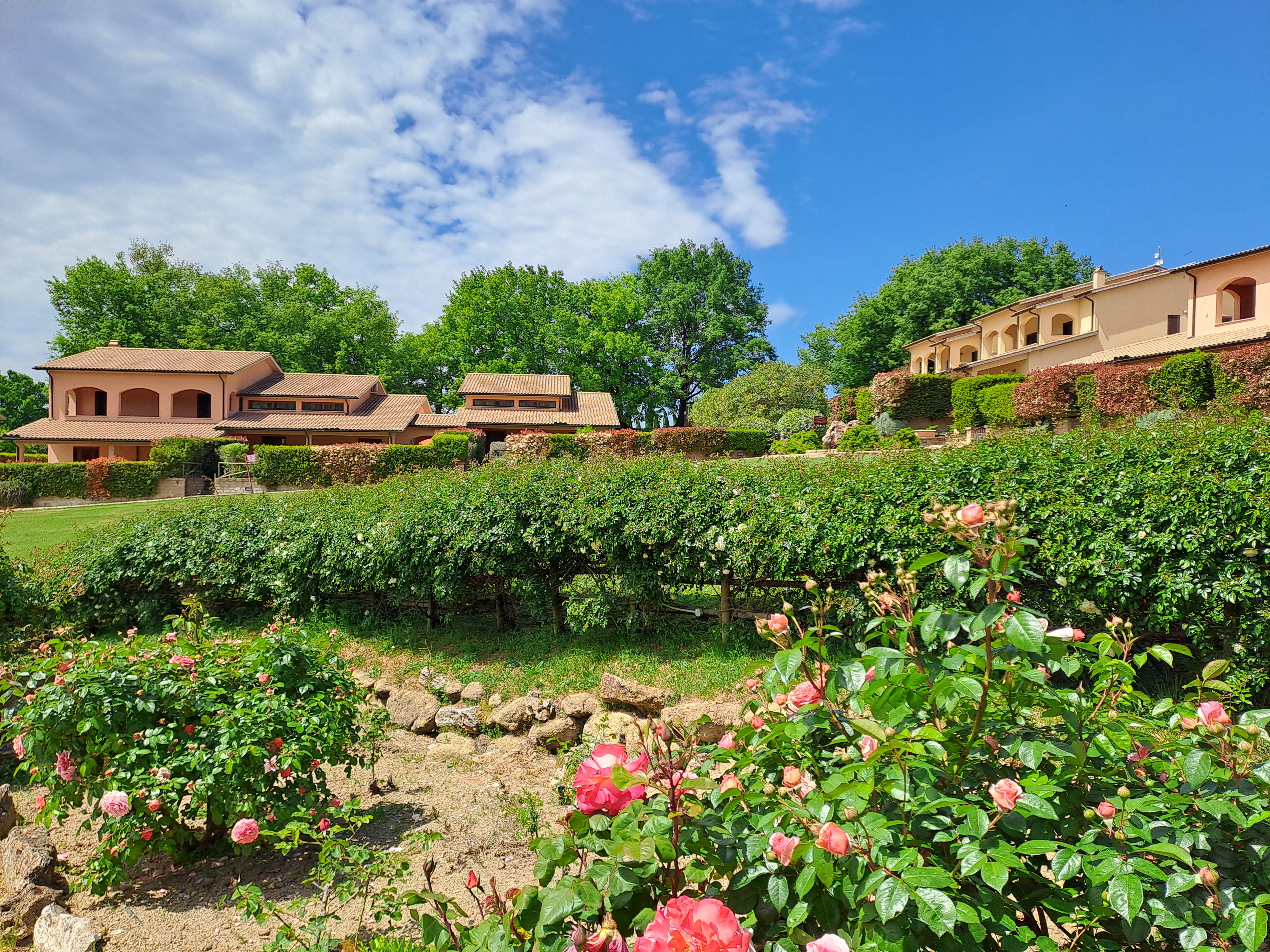 Wellnesshotel: Terme di Sorano