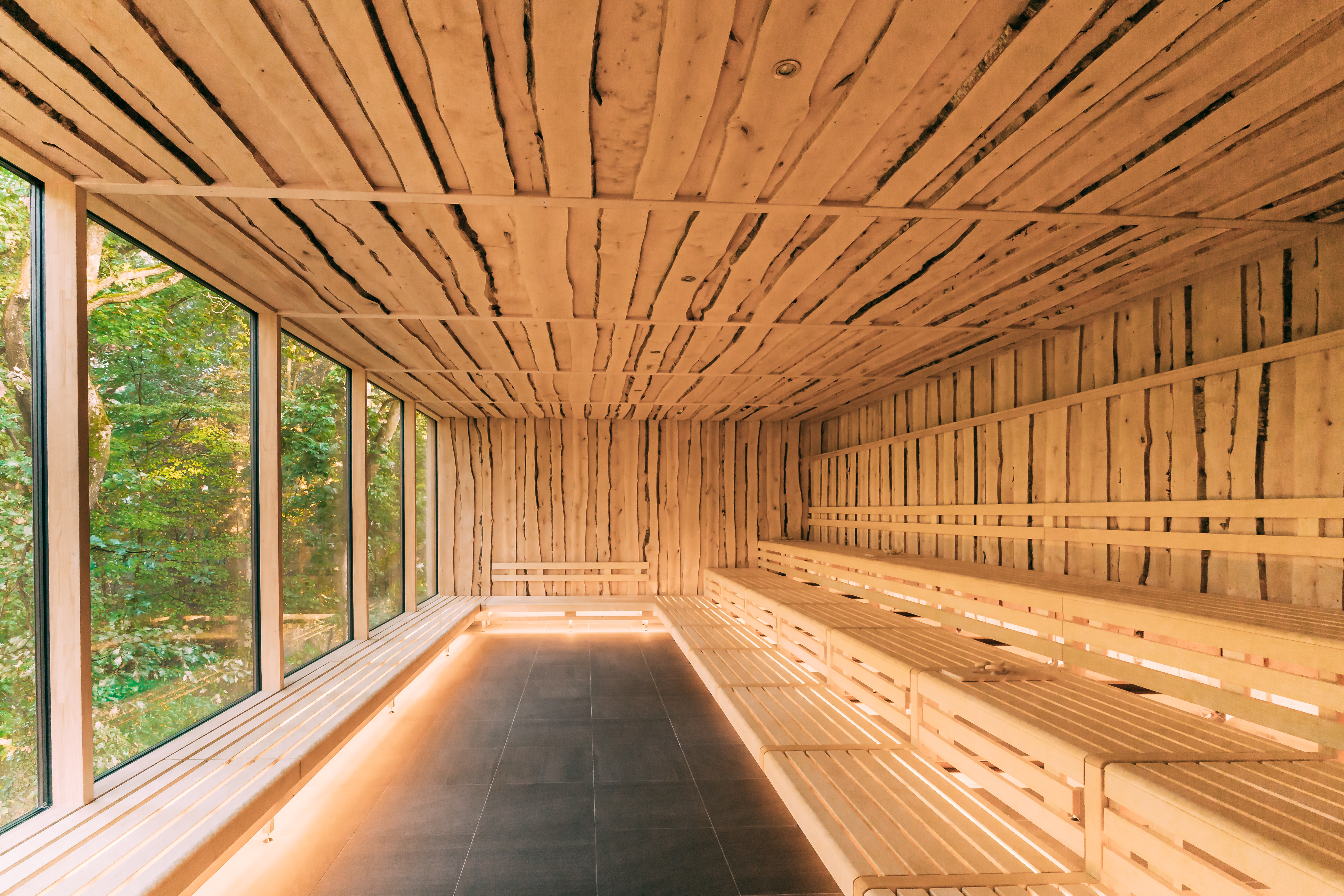 Wellnesshotel: Vital Hotel Therme & Wellnessresort Bad Lippspringe