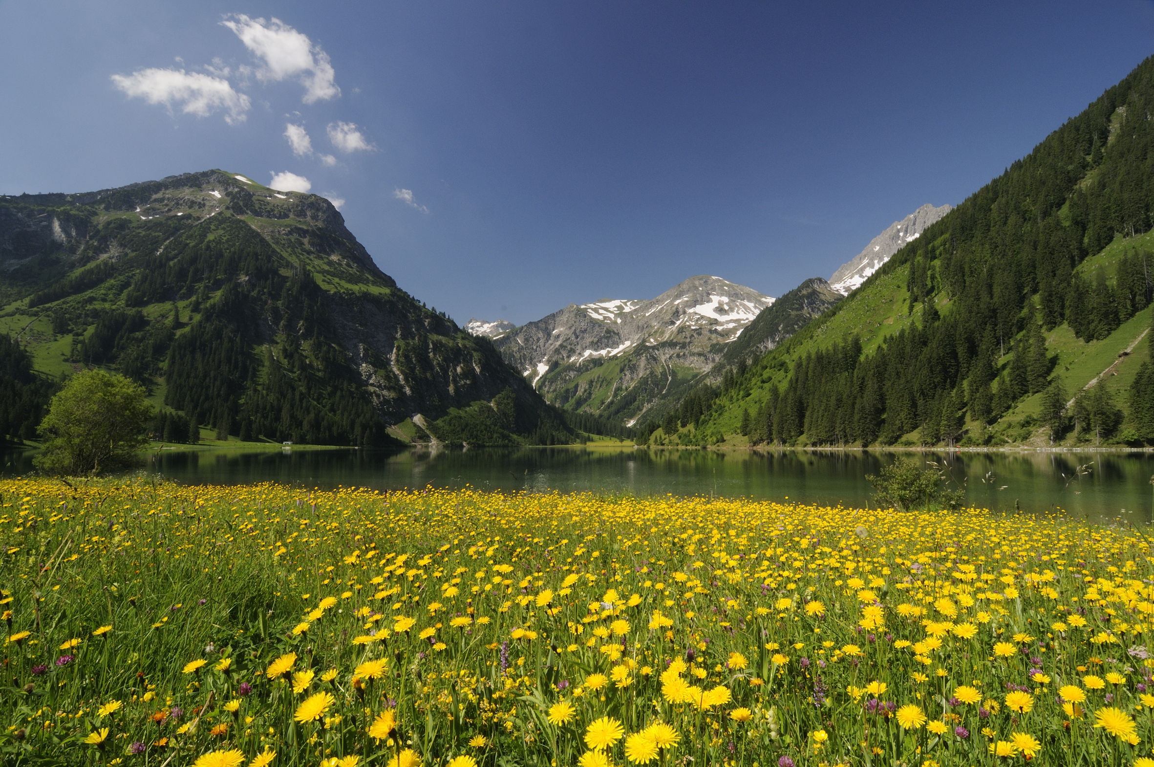 Wellnesshotel: Umgebung des Hotels - der Vilsalpsee - Hotel Tyrol am Haldensee