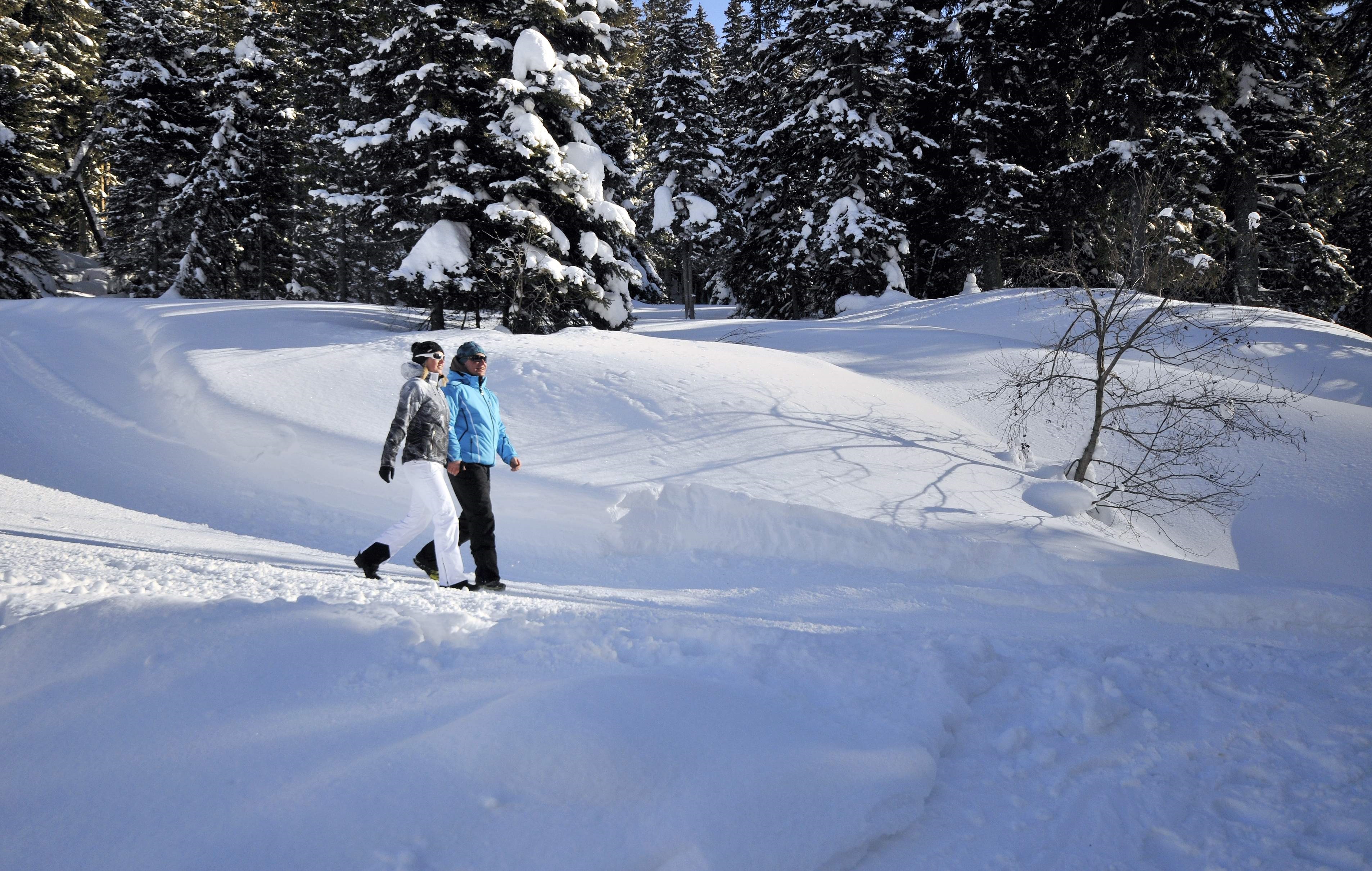 Hotel Wöscherhof Ausflugsziele WINTERWANDERN _ ON POINT.