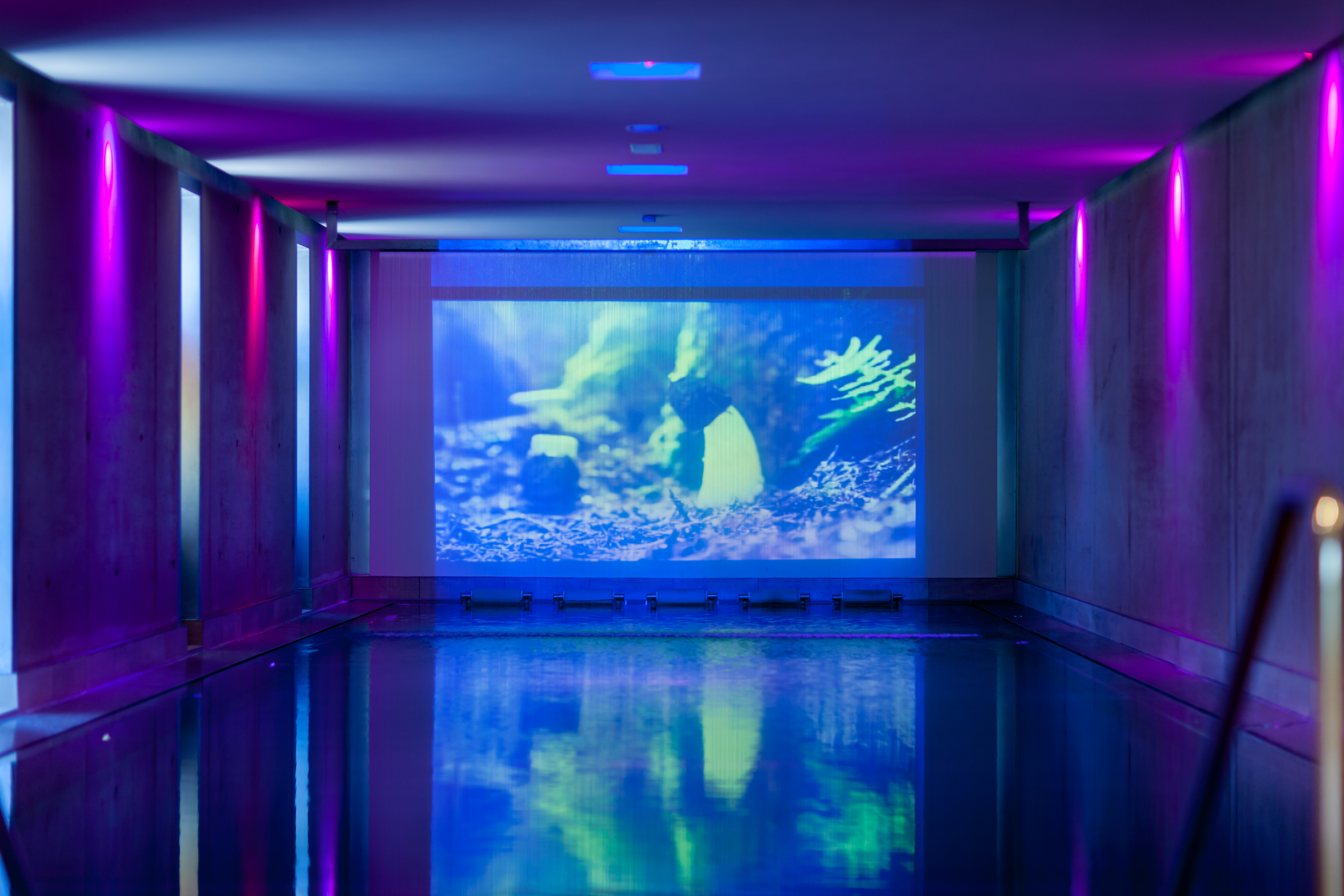 Wellnessurlaub - Österreich - Hallenbad 17x5 Meter - Wellnesshotel Jerzner Hof ****superior