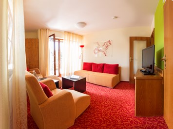 Bodensee-Hotel Storchen Spa- und Wellness Zimmerkategorien 2-Zimmer Appartement Mit Balkon