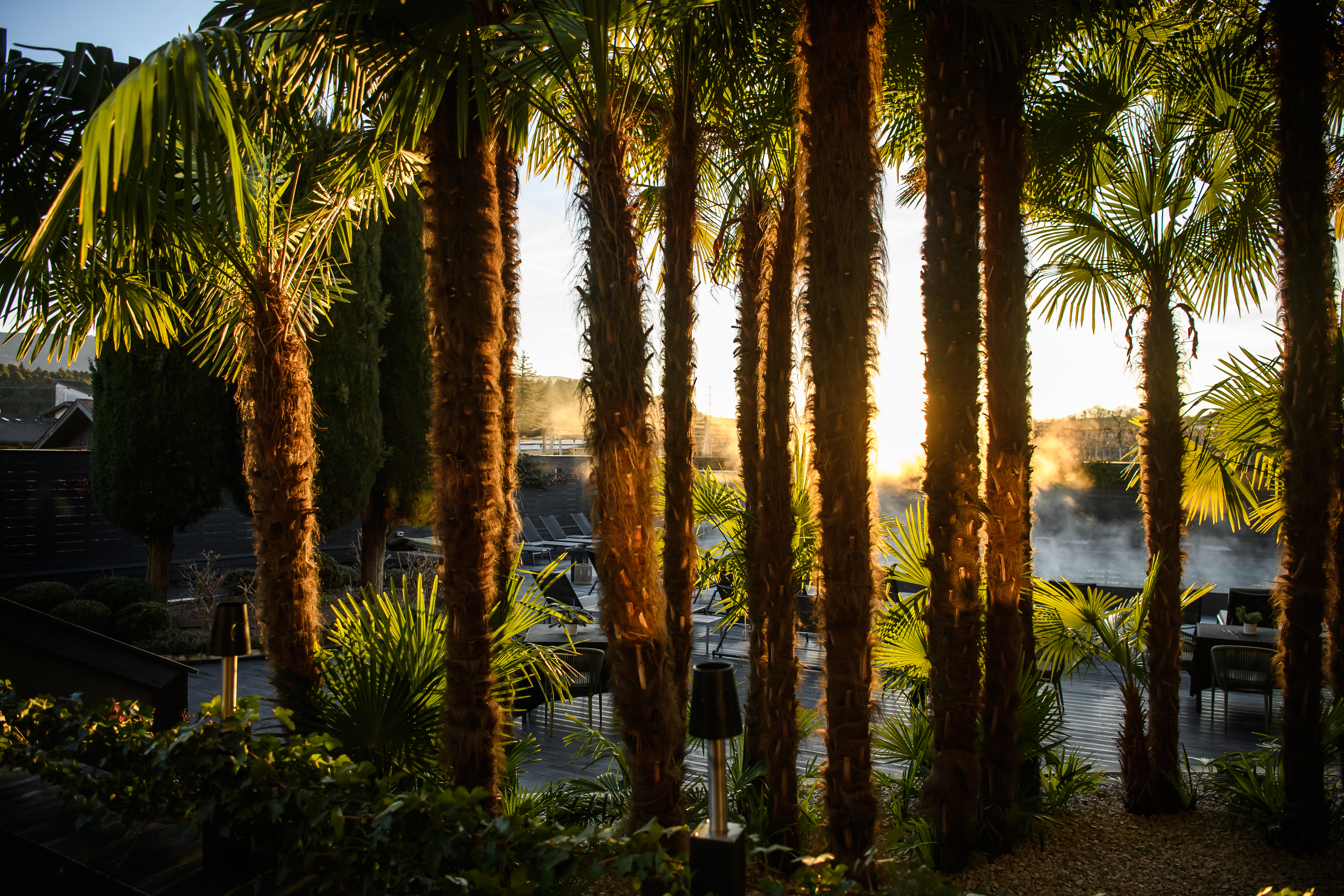 Wellnesshotel: Palmen - Hotel Tirolensis