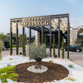 Wellnesshotel: Weinegg Wellviva Resort