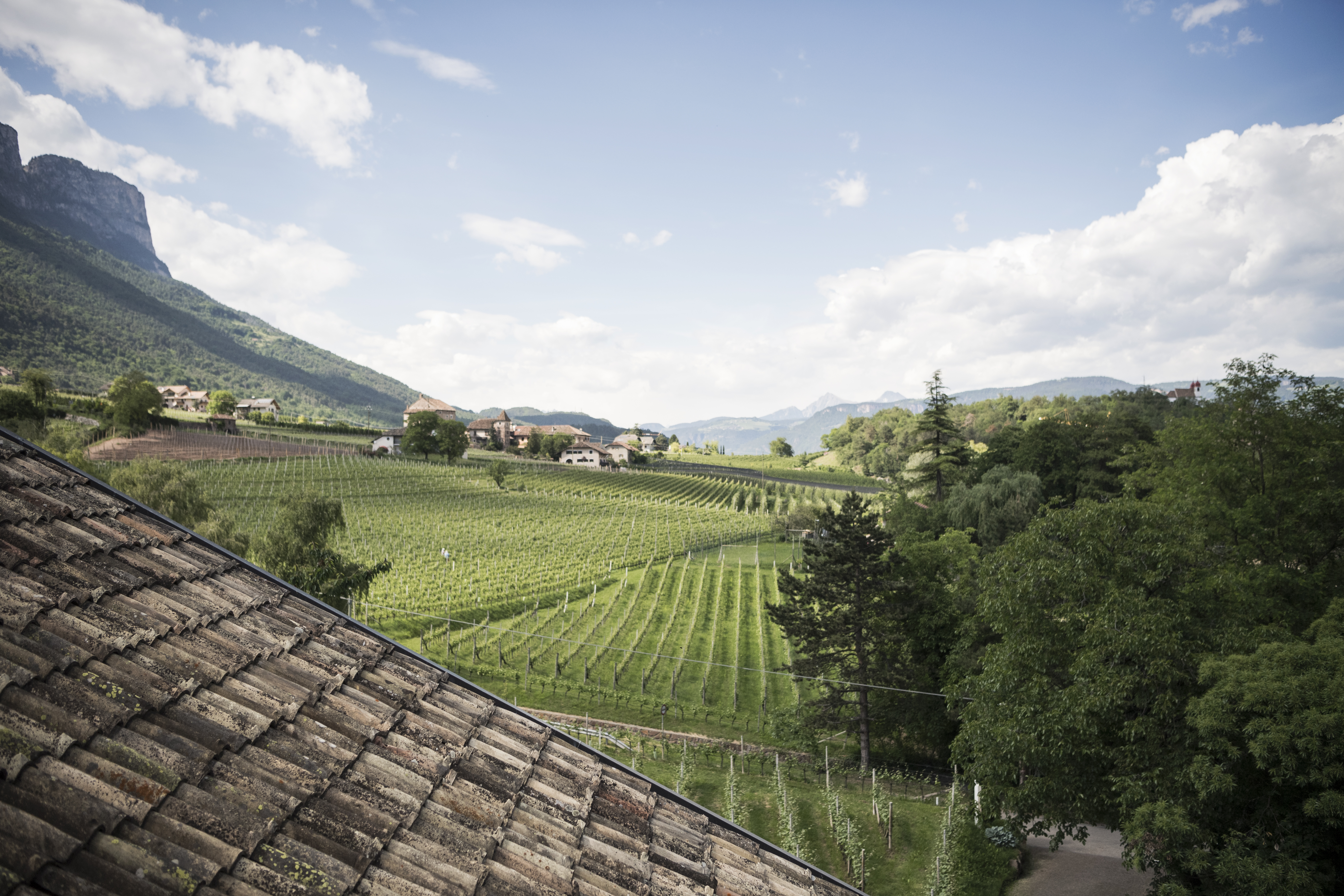 Wellnessurlaub - Bozen und Umgebung - Aussicht - Hotel Weingut Stroblhof