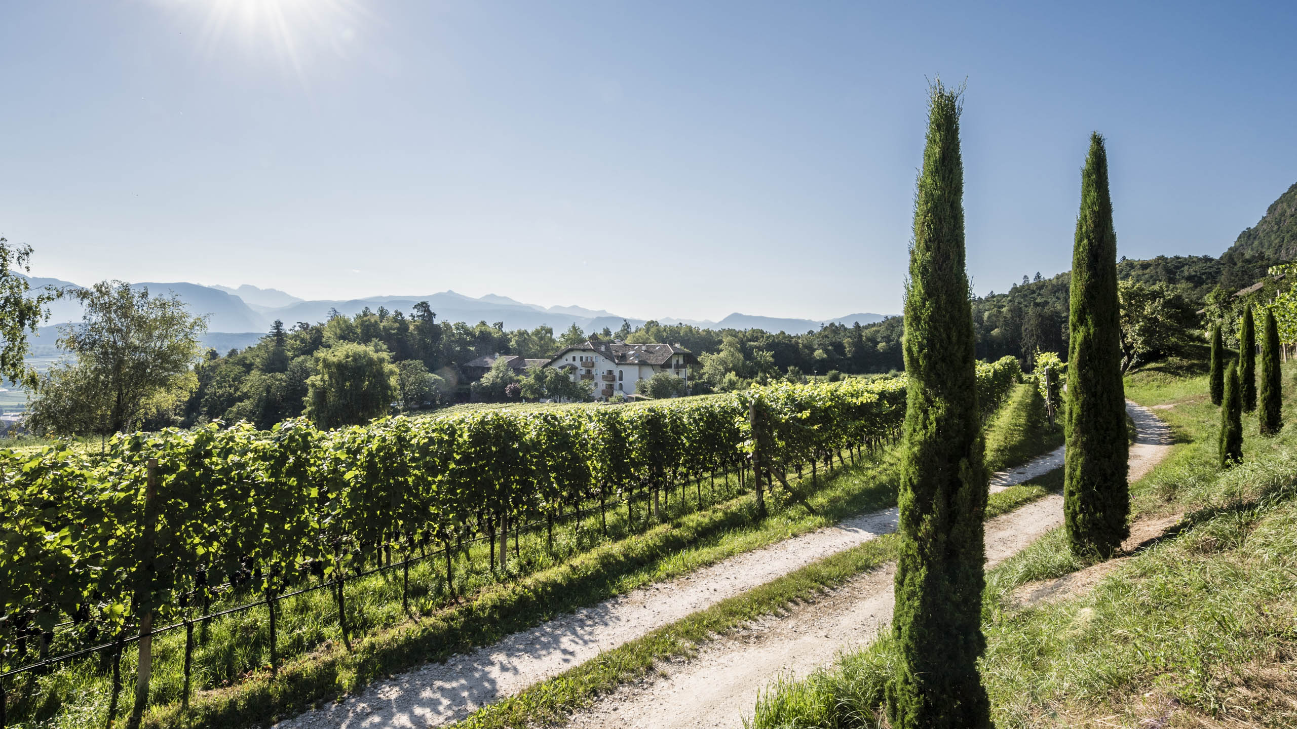 Wellnesshotel: Ausenansicht - Hotel Weingut Stroblhof