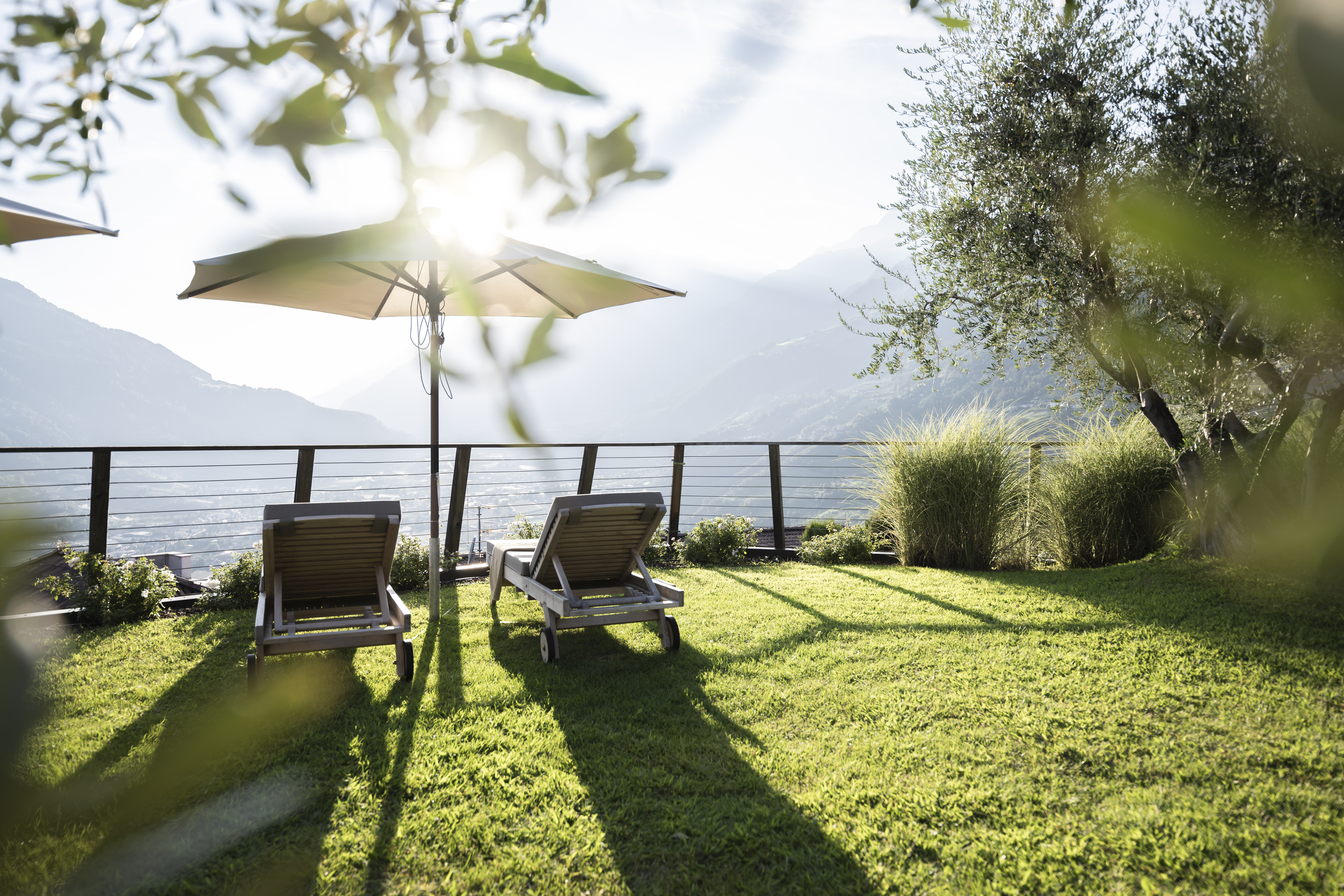 Wellnesshotel: Ein ruhiger Lieblingsplatz im Erika Garten: Auf der sonnigen Liegewiese laden bequeme Relaxliegen unter dem Schirm zum Zurücklehnen ein. Zwischen Olivenbäumen und mediterranem Grün genießen Sie den weiten Blick über das Tal bis zu den Bergen – begleitet von warmem Licht und einer herrlich entspannten Atmosphäre. - Spa & Relax Hotel Erika - Hotel | Umgebung, Sauna | Spa