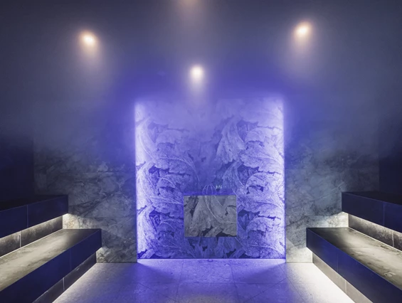 Wellnesshotel: Terentnerhof