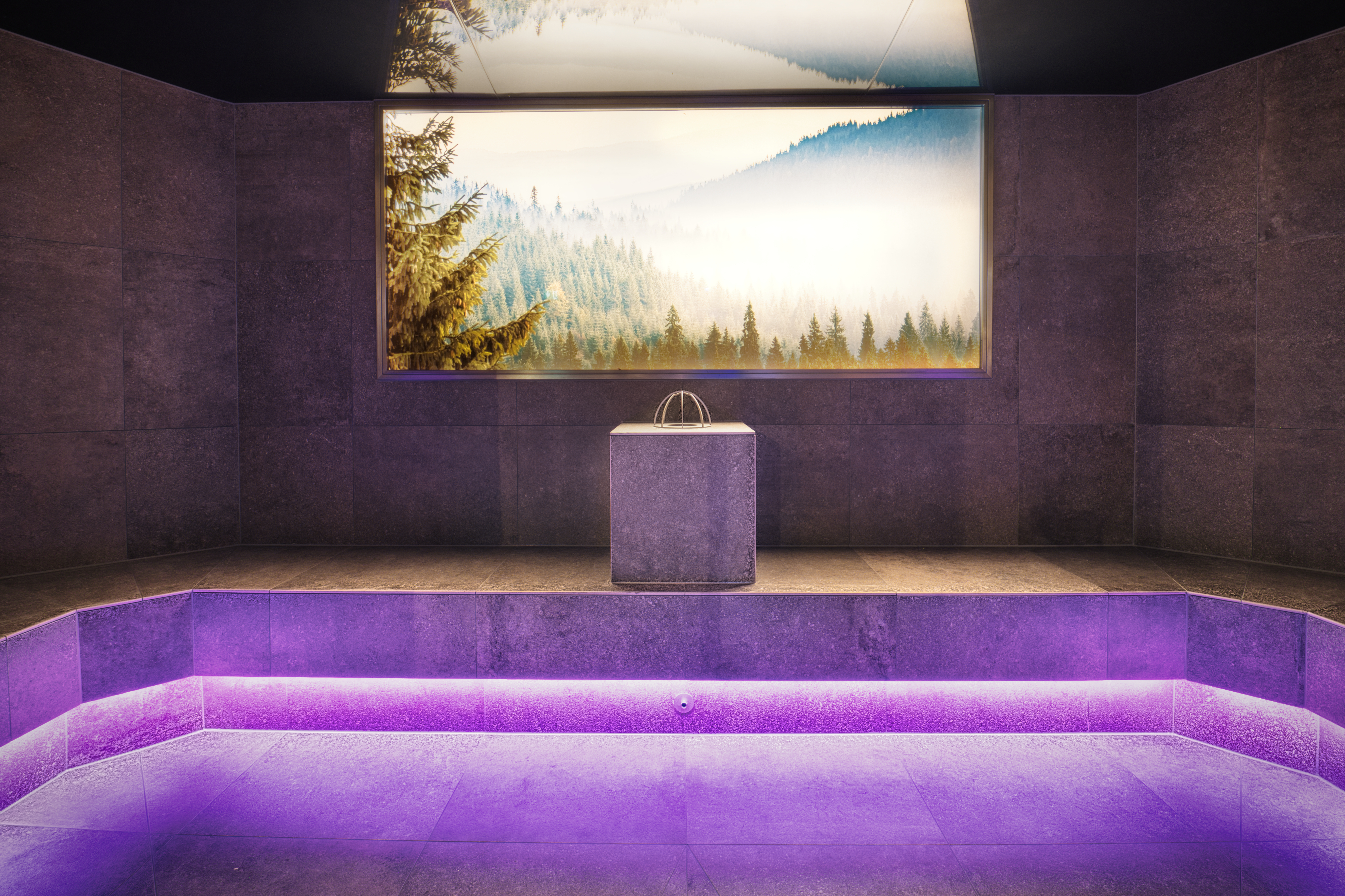 Landromantik Hotel Oswald - Gourmet & SPA Saunen und Bäder im Detail Aroma-Dampfbad