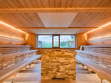Narzissen Vital Resort Saunen und Bäder im Detail Panoramasauna