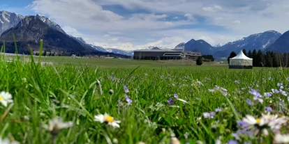 Wellnessurlaub - Schwanenstadt - Sommerpracht  - Narzissen Vital Resort