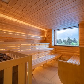 Wellnesshotel: Schwitzkastl Sauna - Narzissen Vital Resort