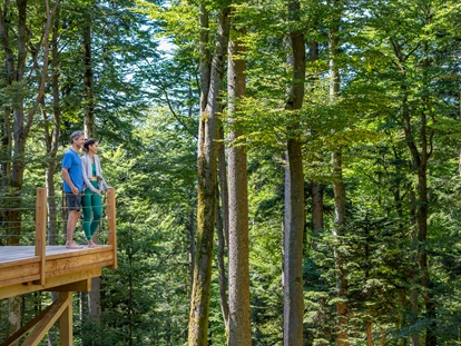 Wellnessurlaub - Private Spa - Otterbach (Sankt Florian am Inn) - WaldSpa mit Infinity-Yoga-Plattform - Wellness & Naturresort Reischlhof****S
