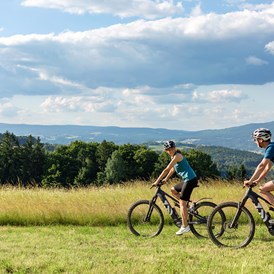 Wellnesshotel: Radsport im Bayerischen Wald - Wellness & Naturresort Reischlhof****S
