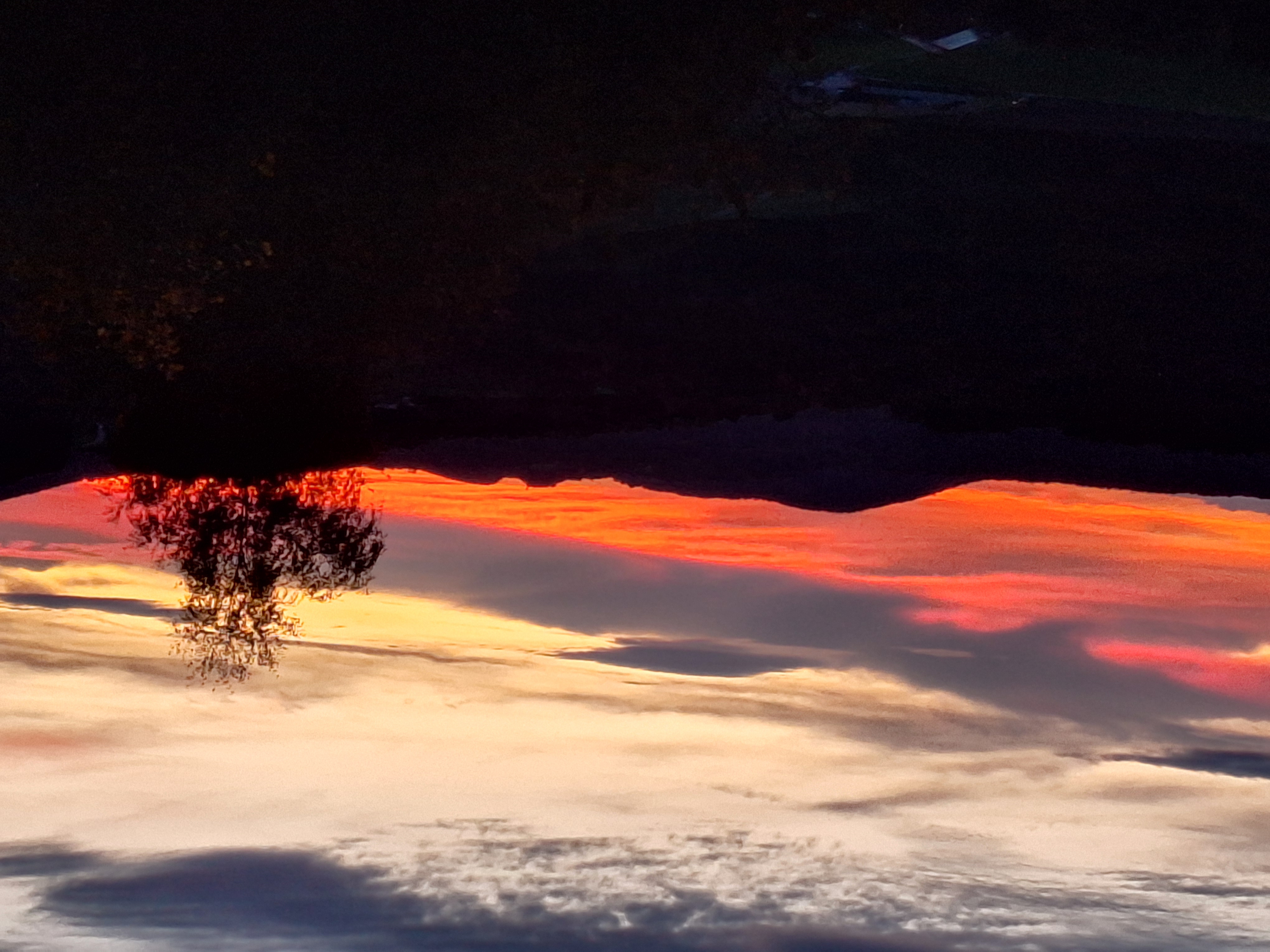 Wellnesshotel: Thula Wellnesshotel Bayerischer Wald