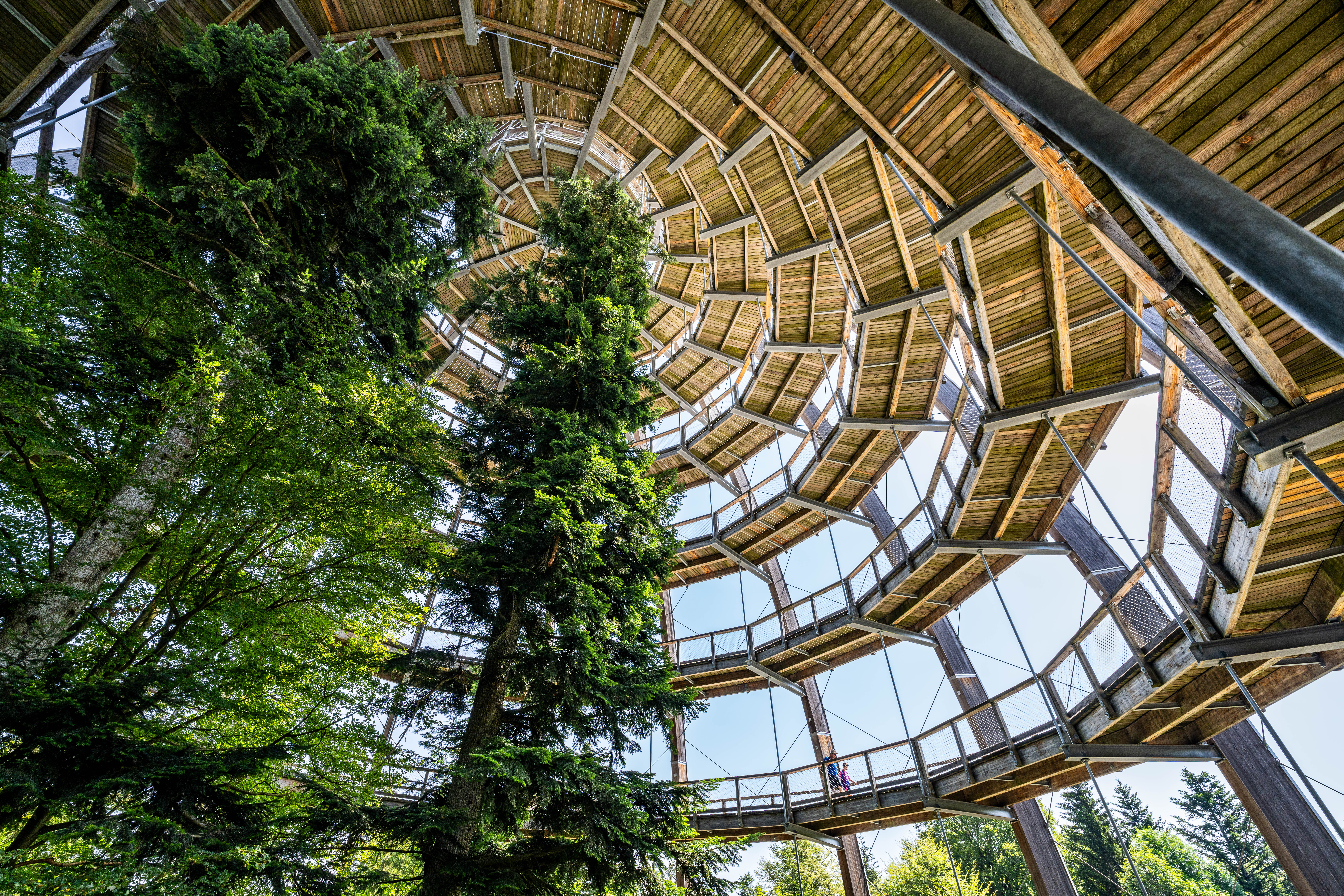 Hüttenhof ****S - Wellnesshotel und Luxus-Bergchalets - adults only Ausflugsziele Nationalpark Bayerischer Wald