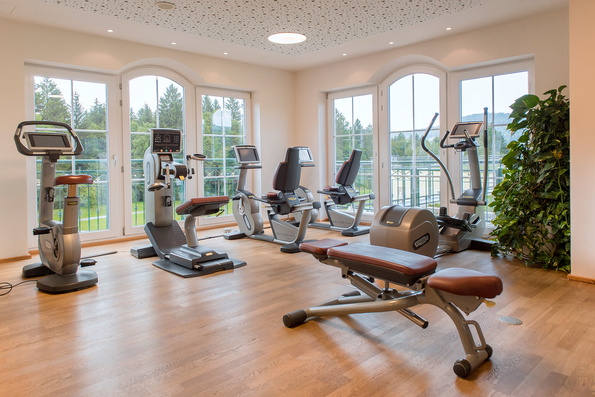 Wellnesshotel: Wellness & SPA Resort Mooshof