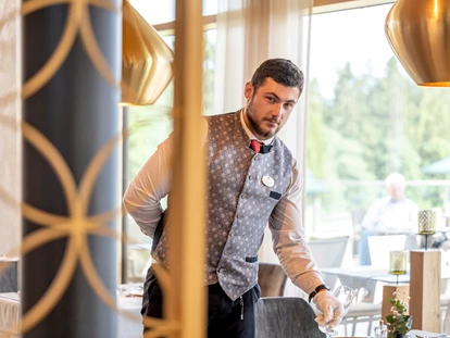 Wellnessurlaub - Finnische Sauna - Saldenburg - Wellness & SPA Resort Mooshof