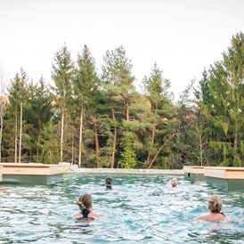 Wellnesshotel: Naturbadeteich im BIO | ORGANIC | SPA im Retter Bio-Natur-Resort - RETTER Bio-Natur-Resort