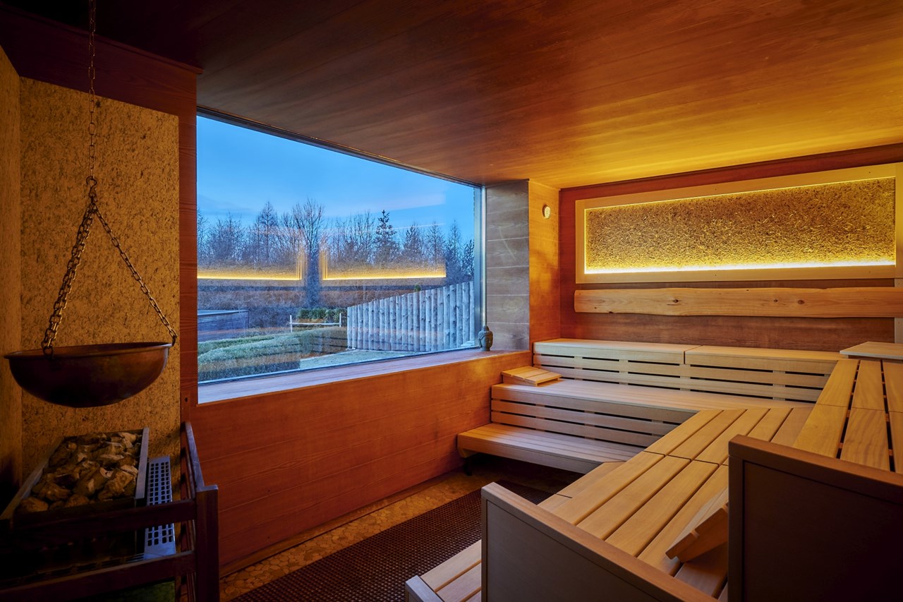 Der Birkenhof Spa & Genuss Resort Saunen und Bäder im Detail Panoramasauna