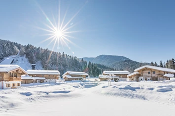 Wellnesshotel: Das Chaletdorf im Winter - Gut Steinbach Hotel Chalets SPA