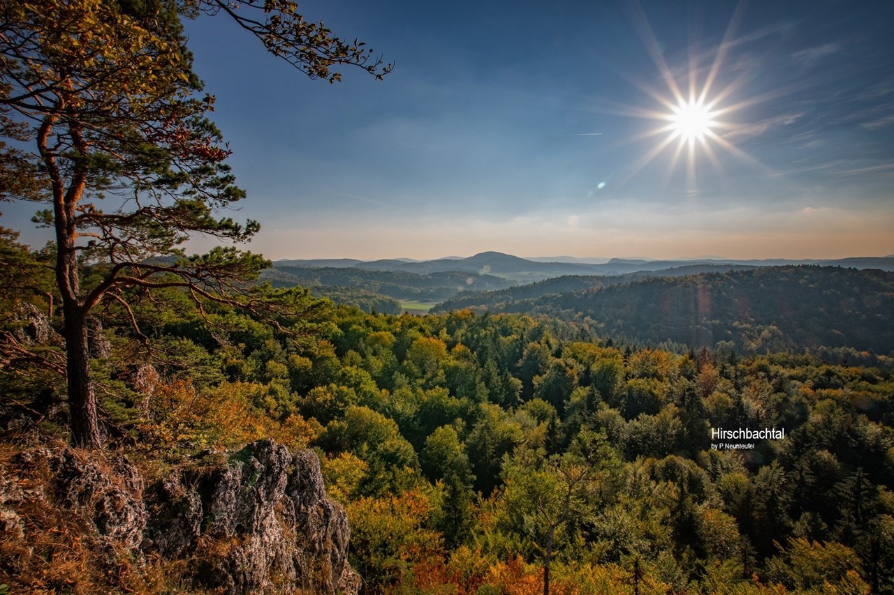 Wellnesshotel Sternwirt "Das Wellnesshotel zwischen Nürnberg und Amberg" Ausflugsziele 