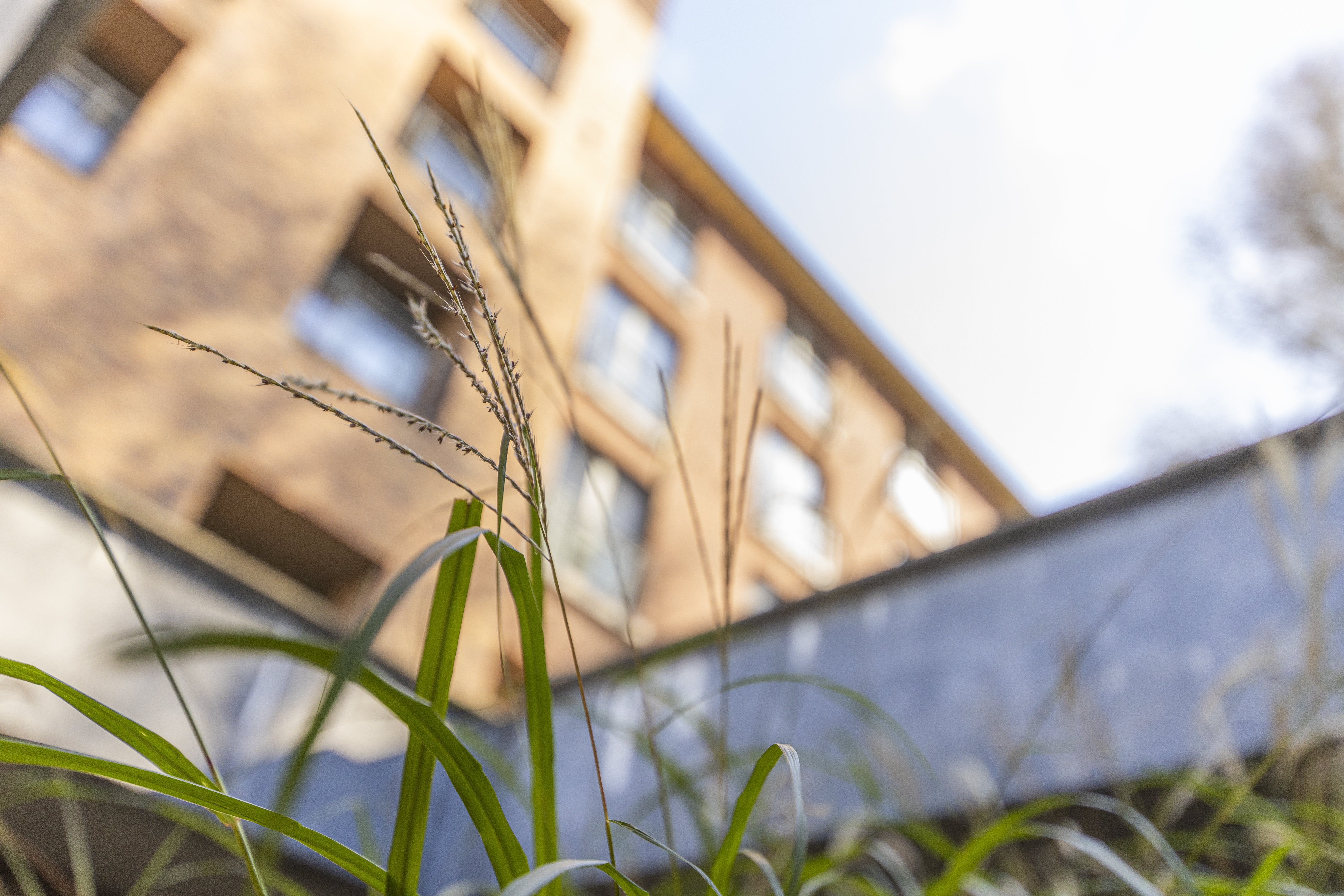 Wellnessurlaub - Wellness | Parkhotel Horst - Parkhotel Horst