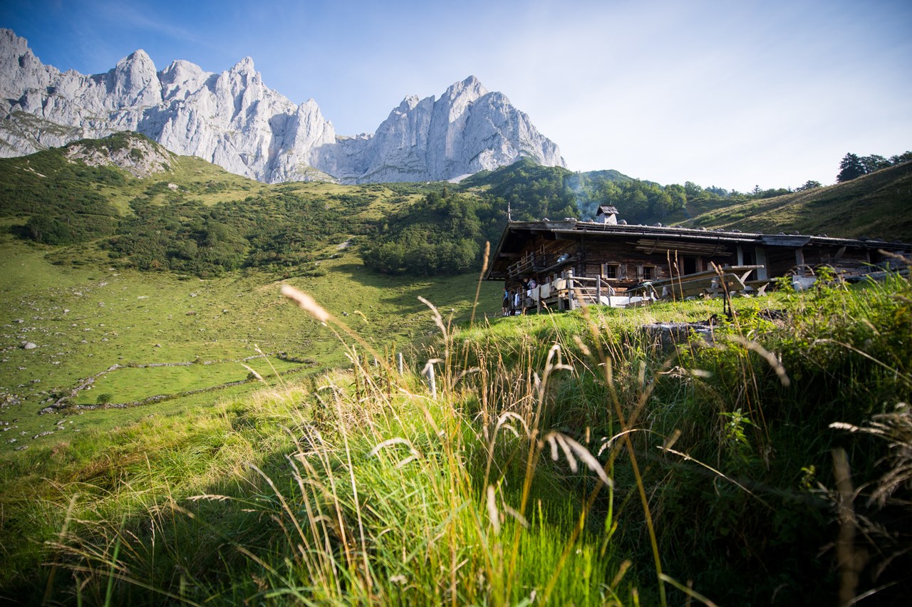 Bio-Hotel Stanglwirt Ausflugsziele Wanderung zur Stangl-Alm