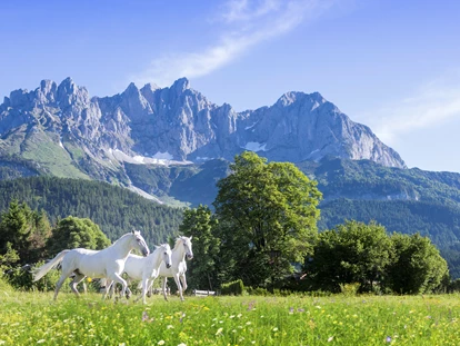 Wellnessurlaub - Babysitterservice - Hoteleigenes Lipizzaner-Gestüt inkl. Reitschule - Bio-Hotel Stanglwirt