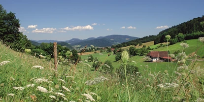 Wellnessurlaub - Seminarraum - Schallstadt - Prinzbach Tal - Hotel Badischer Hof