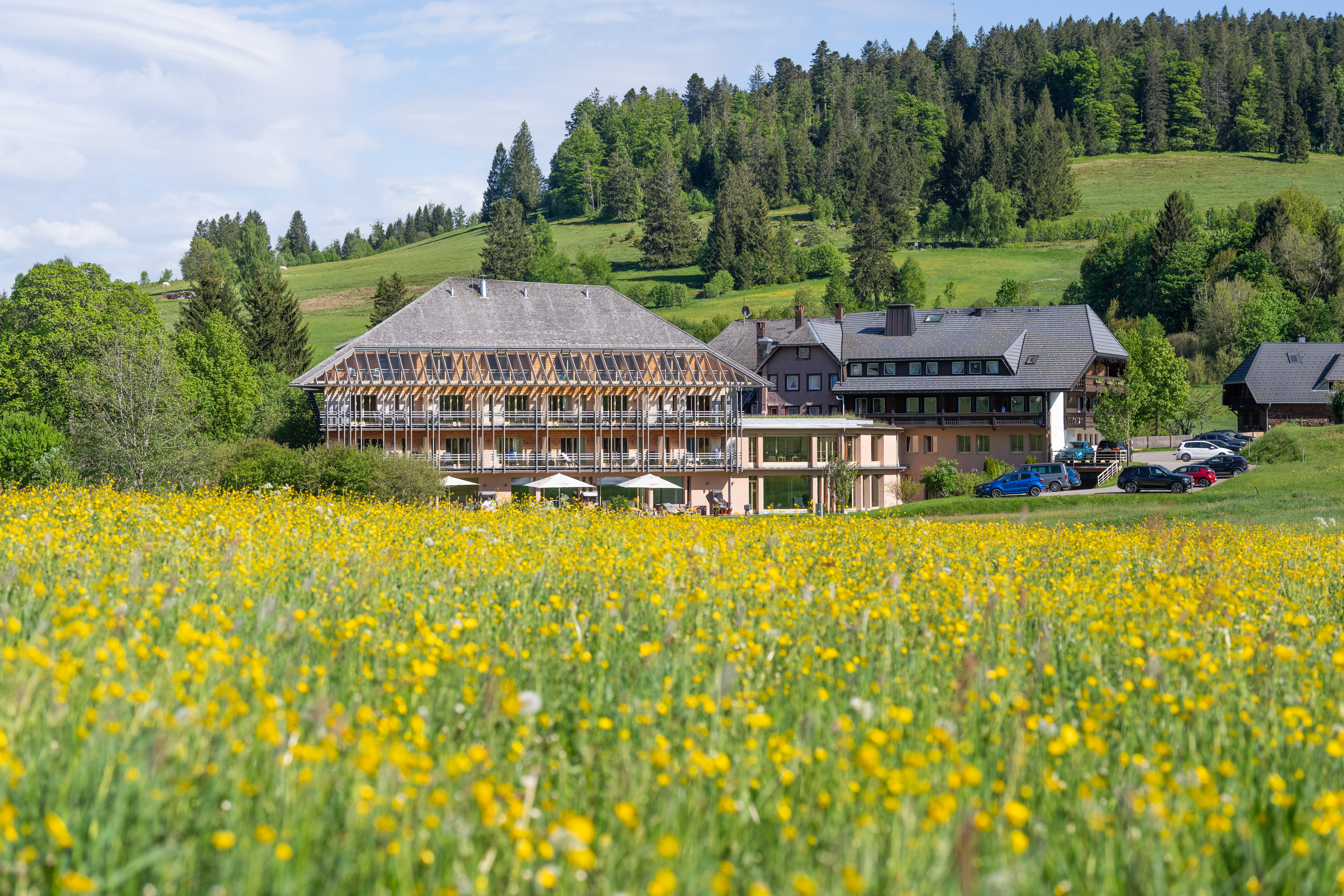 Wellnessurlaub - Höchenschwand - Blick von der Talseite auf das Hotel - Hotel Breggers Schwanen