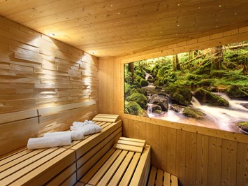 Hotel Grüner Wald****S Saunen und Bäder im Detail Bio-Sauna