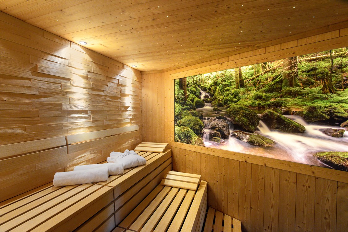Wellnesshotel: Bio-Sauna "Schwarzwald" - Hotel Grüner Wald****S