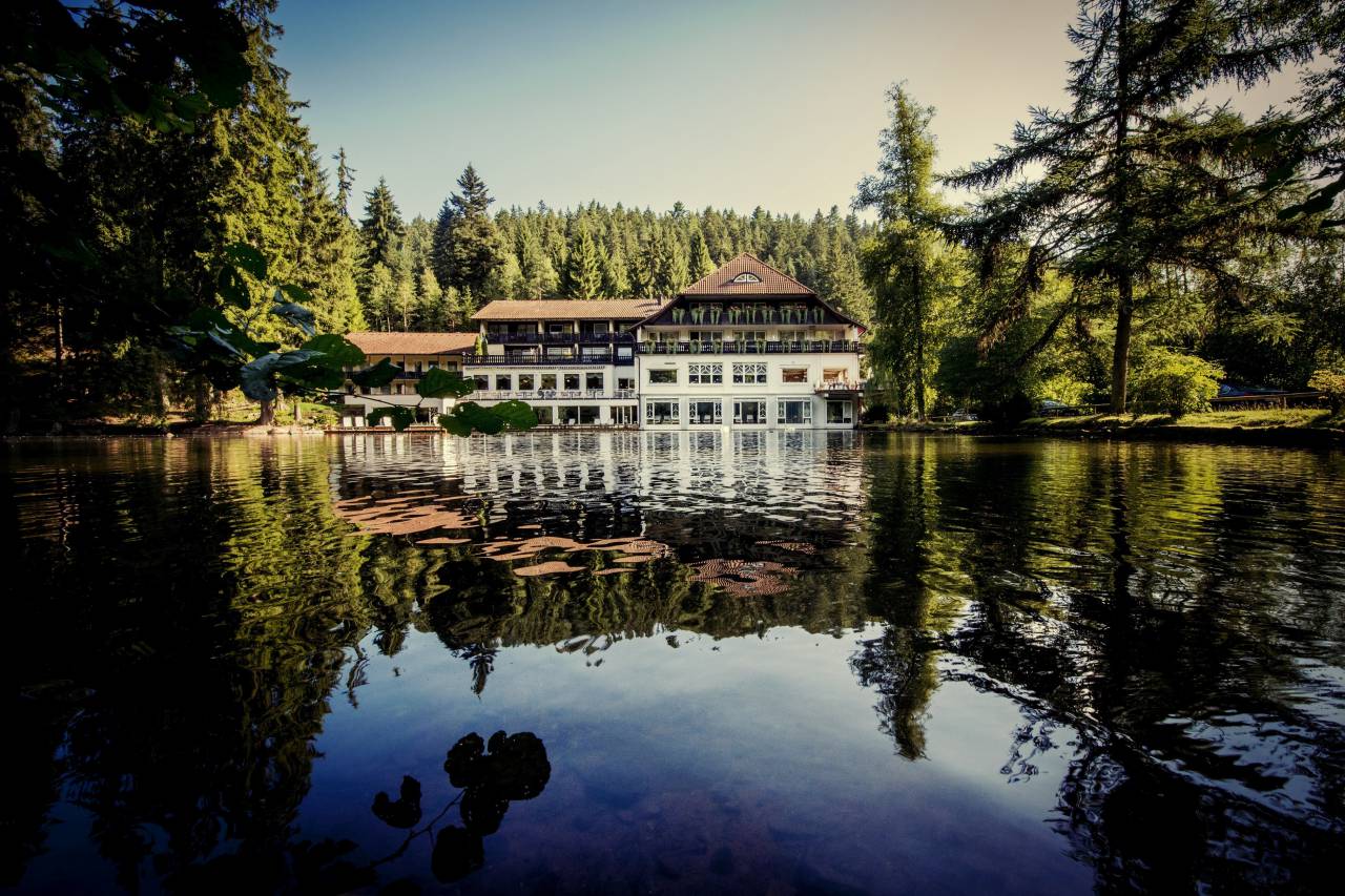Wellnessurlaub - Baden-Württemberg - Hotel Langenwaldsee - Hotel Langenwaldsee