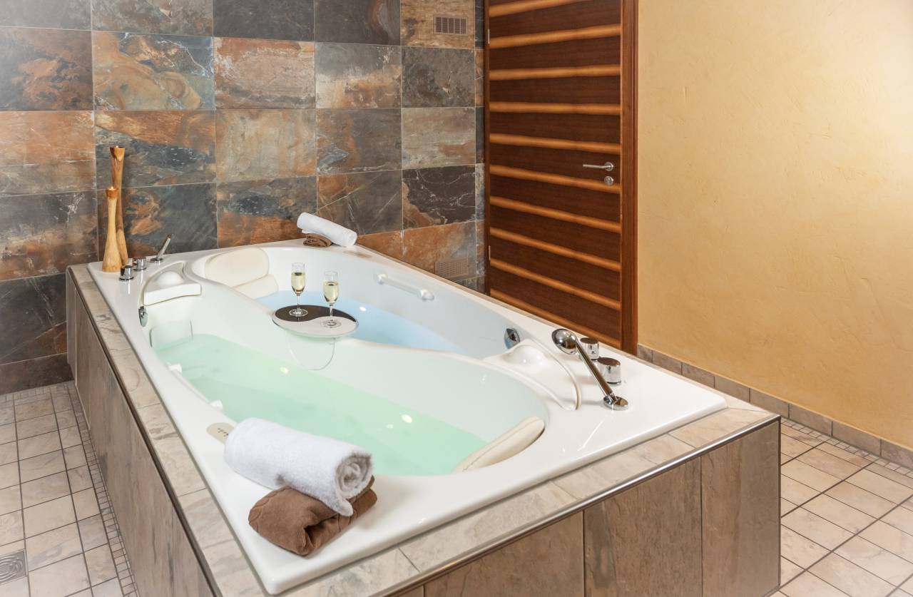 Wellnesshotel: Hotel Langenwaldsee - Sauna | Spa