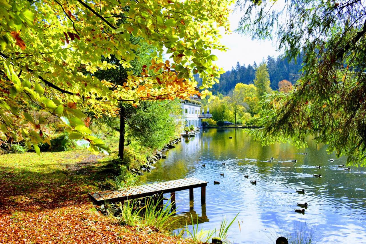 Wellnessurlaub - Baden-Württemberg - Hotel Langenwaldsee