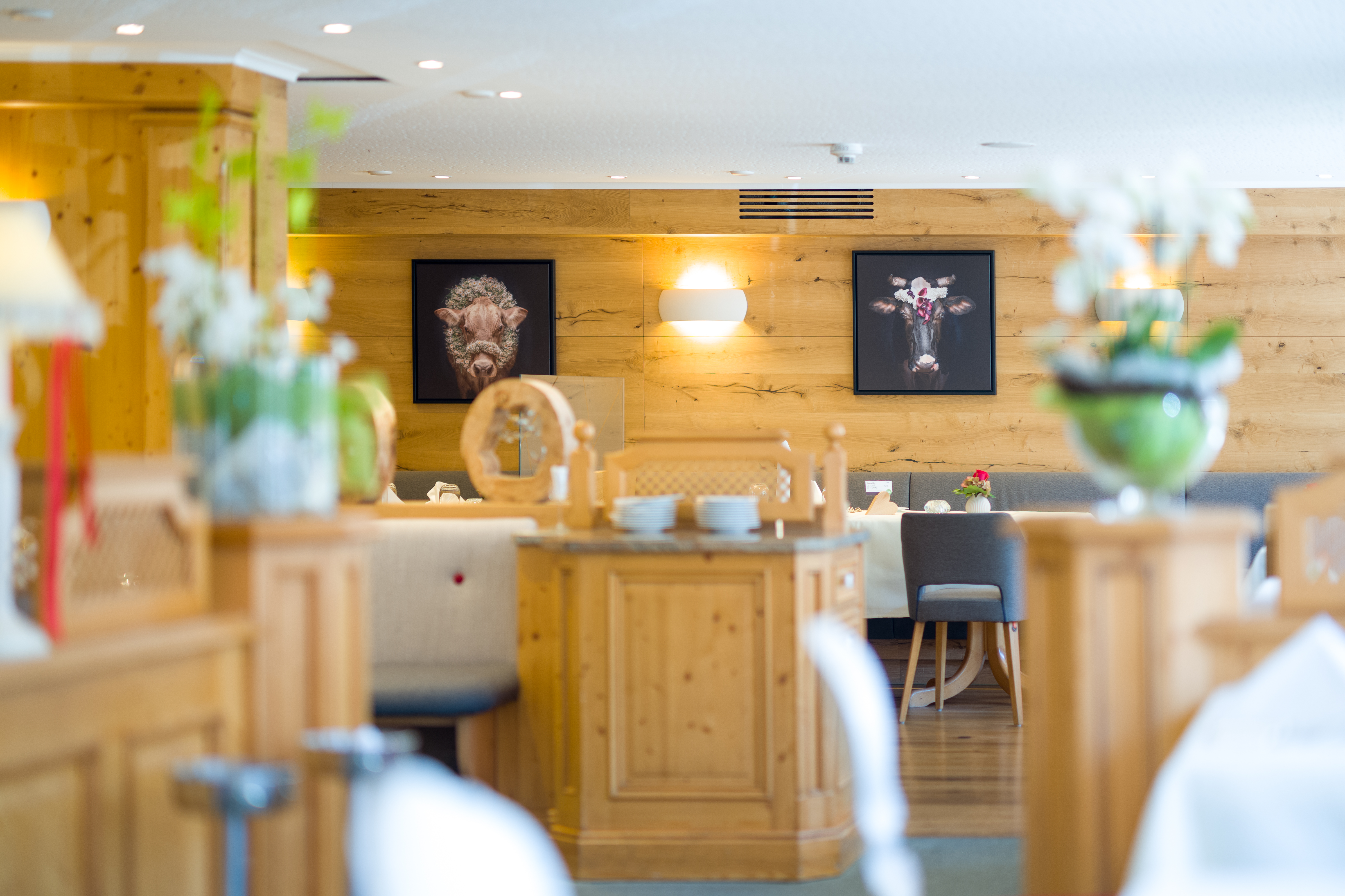 Wellnesshotel: Hotel Ludinmühle