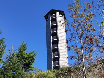 Waldhotel Grüner Baum Ausflugsziele Buchkopfturm Oppenau