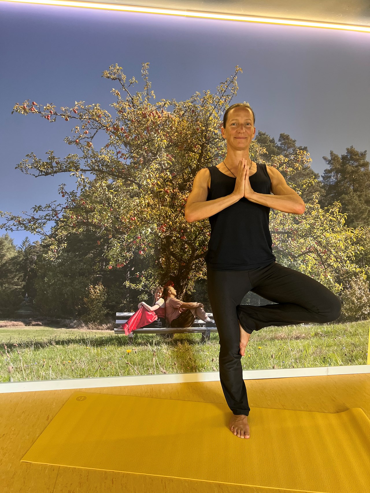 Die Tanne Tonbach - Wellness & Wohlfühl Hotel Fitnessangebote im Detail Yoga