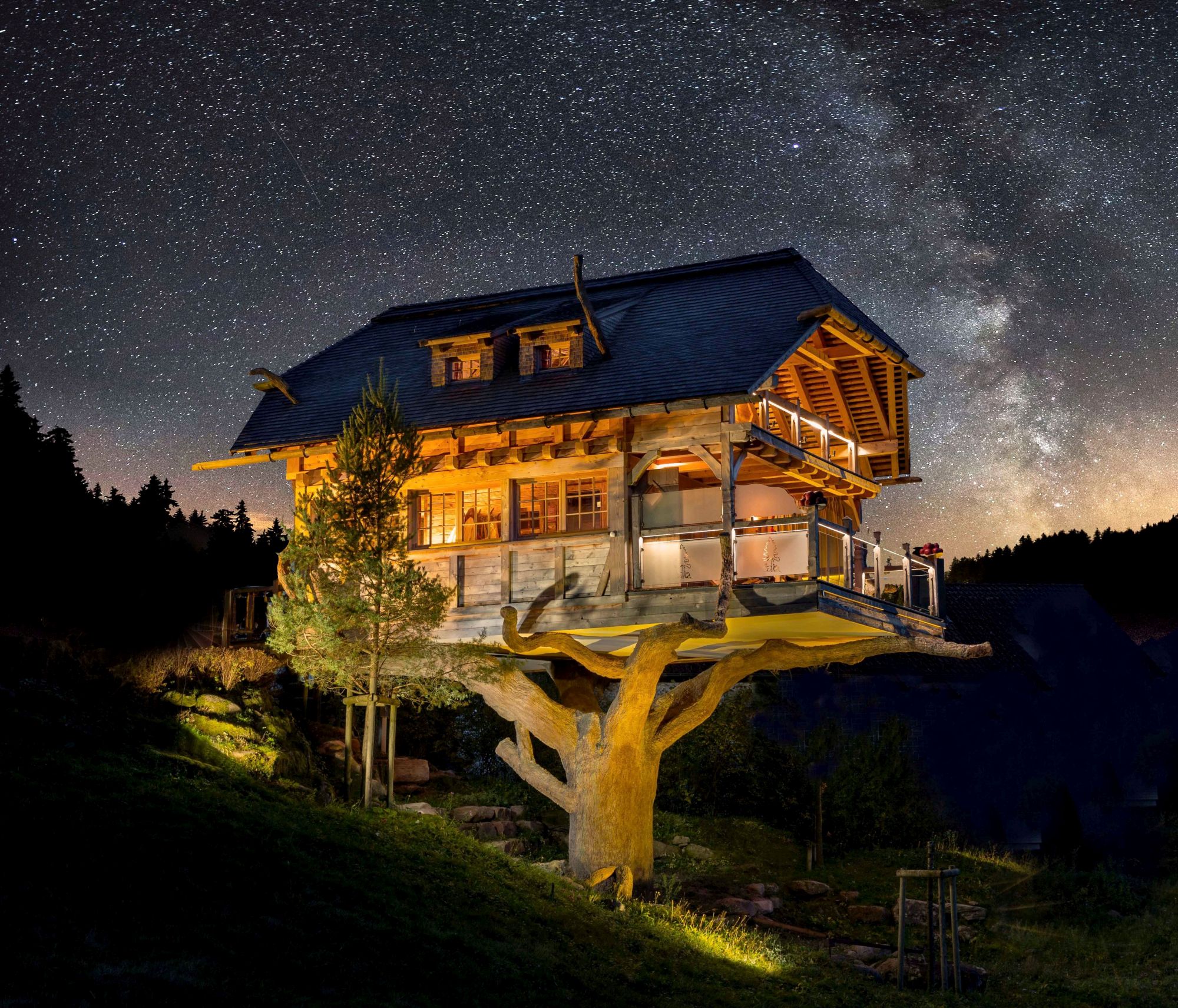 Die Tanne Tonbach - Wellness & Wohlfühl Hotel Saunen und Bäder im Detail Baumhaus-Sauna