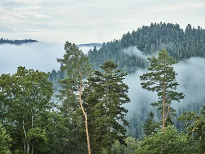 Wellnessurlaub - Zumba - Empfingen - Region Nordschwarzwald - Hotel Kronelamm im Schwarzwald