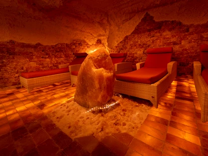 Wellnessurlaub - Seminarraum - Schallstadt - Salzraum - Bio- und Wellnesshotel Alpenblick