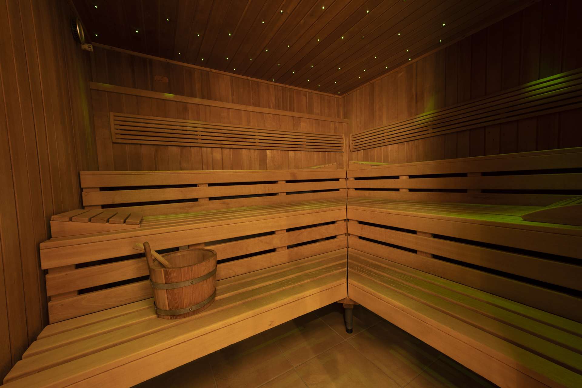 Wellnesshotel: Finnische Sauna - Bio- und Wellnesshotel Alpenblick