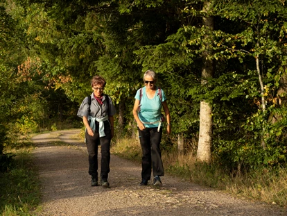 Wellnessurlaub - Seminarraum - Schallstadt - Wandern im Schwarzwald - Bio- und Wellnesshotel Alpenblick