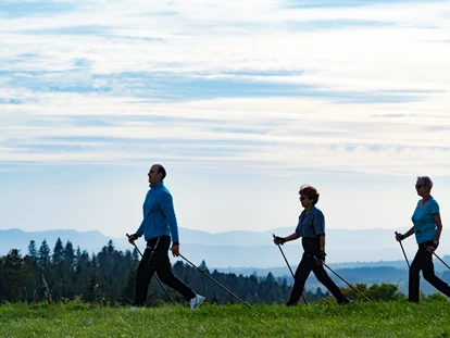 Wellnessurlaub - Seminarraum - Schallstadt - Nordic Walking - Bio- und Wellnesshotel Alpenblick