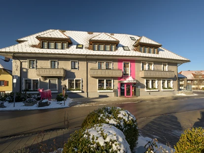 Wellnessurlaub - Seminarraum - Schallstadt - Alpenblick im Winter - Bio- und Wellnesshotel Alpenblick